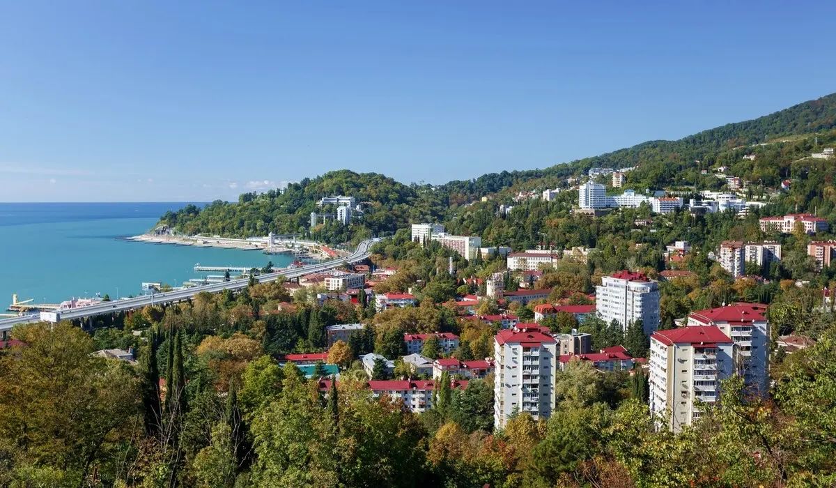 Дрим Клининг в Хоста